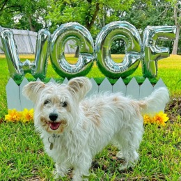 πΆ Bark, Bark Bark, Bark Bark Bark Bark, Bark! Translation: In honor of #NationalDogMomDay we are welcoming everyone to take a tour of our pet-friendly apartments. We highly recommend checking out our Pet Spa! πΆ Bark, Bark, Bark Bark! Translation: Plus, each apartment has lots of storage space for ample treats. π Call to schedule a tour today! #PetFriendly #WeSpeakDog #Bark πΆ Bark, Bark Bark, Bark Bark Bark Bark, Bark! Translation: In honor of #NationalDogMomDay we are welcoming everyone to take a tour of our pet-friendly apartments. We highly recommend checking out our Pet Spa! πΆ Bark, Bark, Bark Bark! Translation: Plus, each apartment has lots of storage space for ample treats. π Call to schedule a tour today! #PetFriendly #WeSpeakDog #Bark